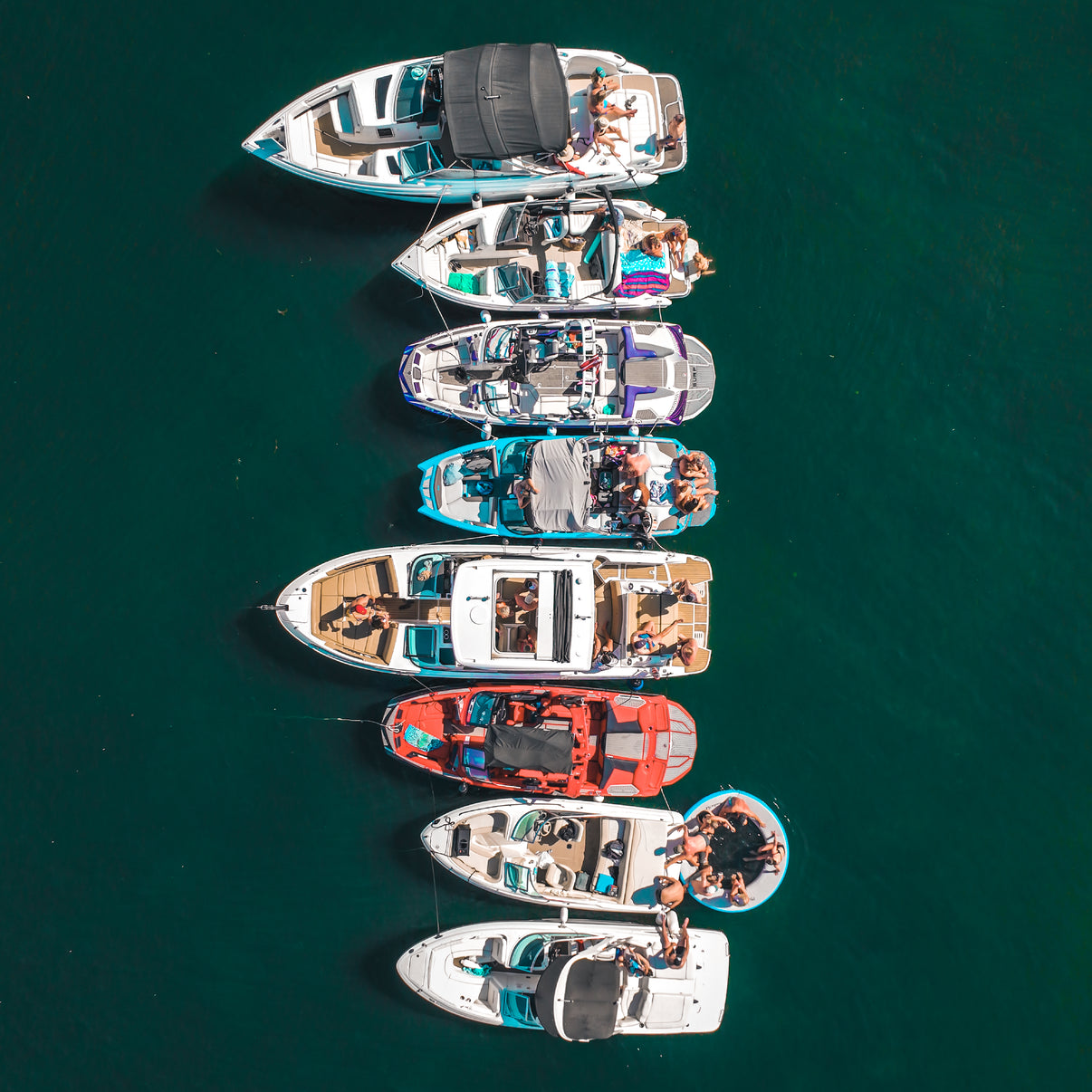 Okoboji Play Skip Day Pickleball Paddle